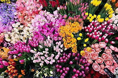 PC版《铁锤守卫2》8月发售 试玩版已上架Steam