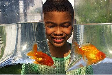 小心剧透！《女神异闻录3：Reload》PS5实体盘已偷跑